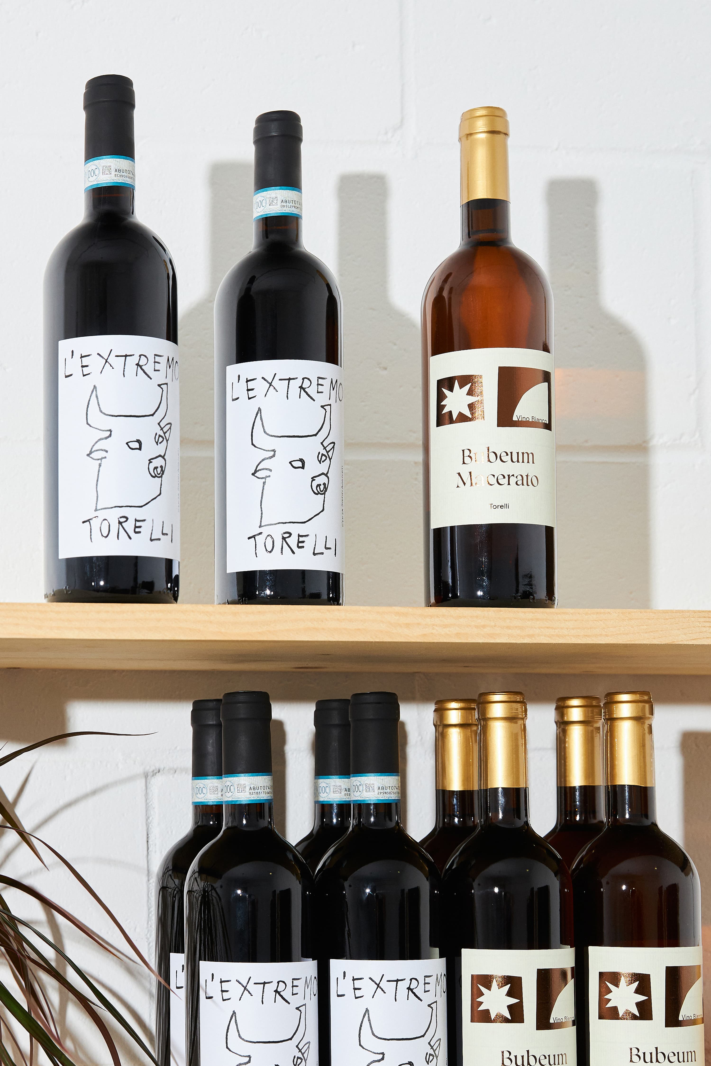 Torelli3