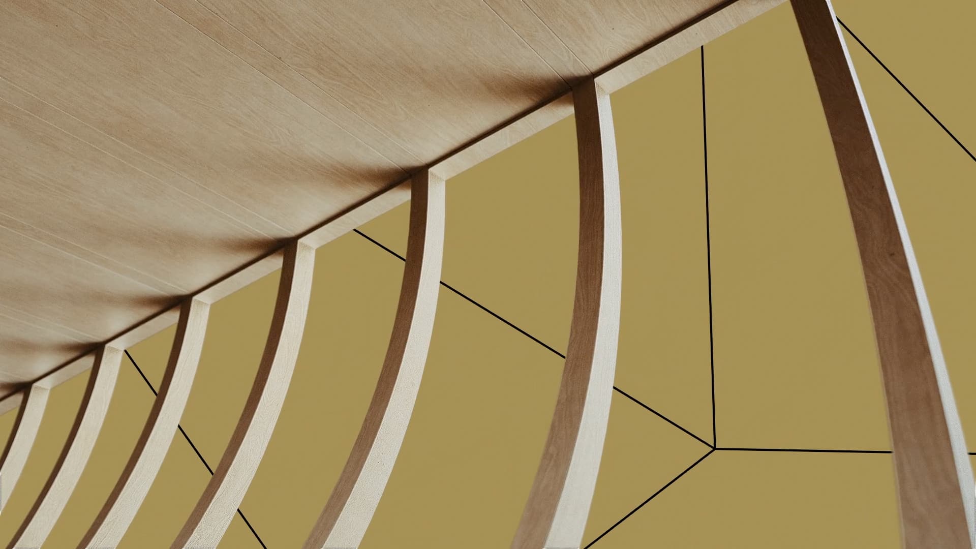 Woodrise5